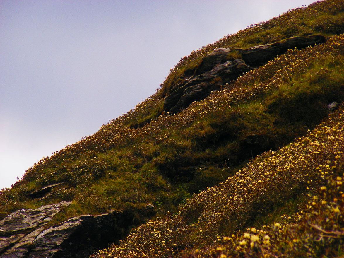 Deoriatal – Chandrashila scenery 5