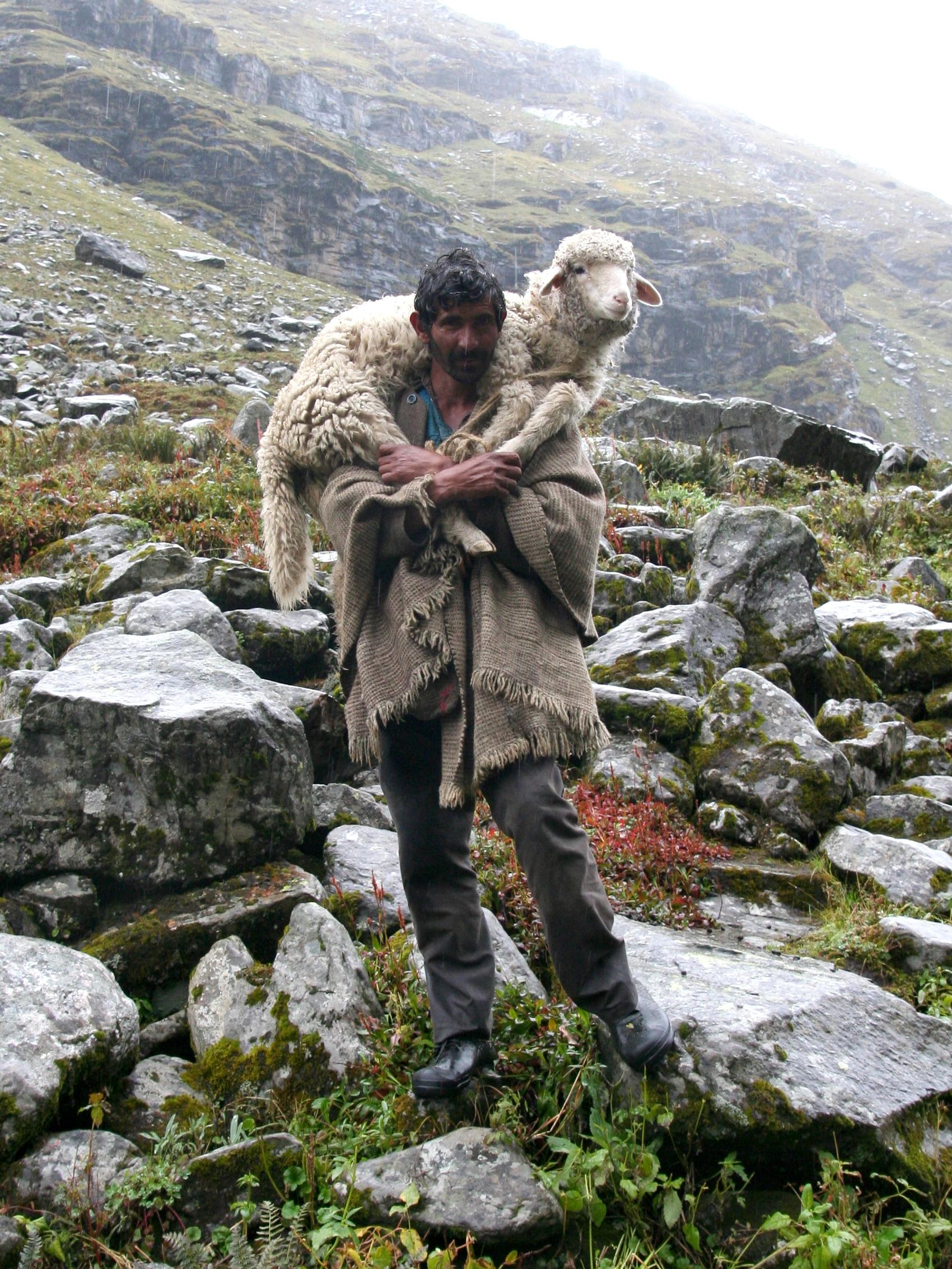 Hampta Pass trek