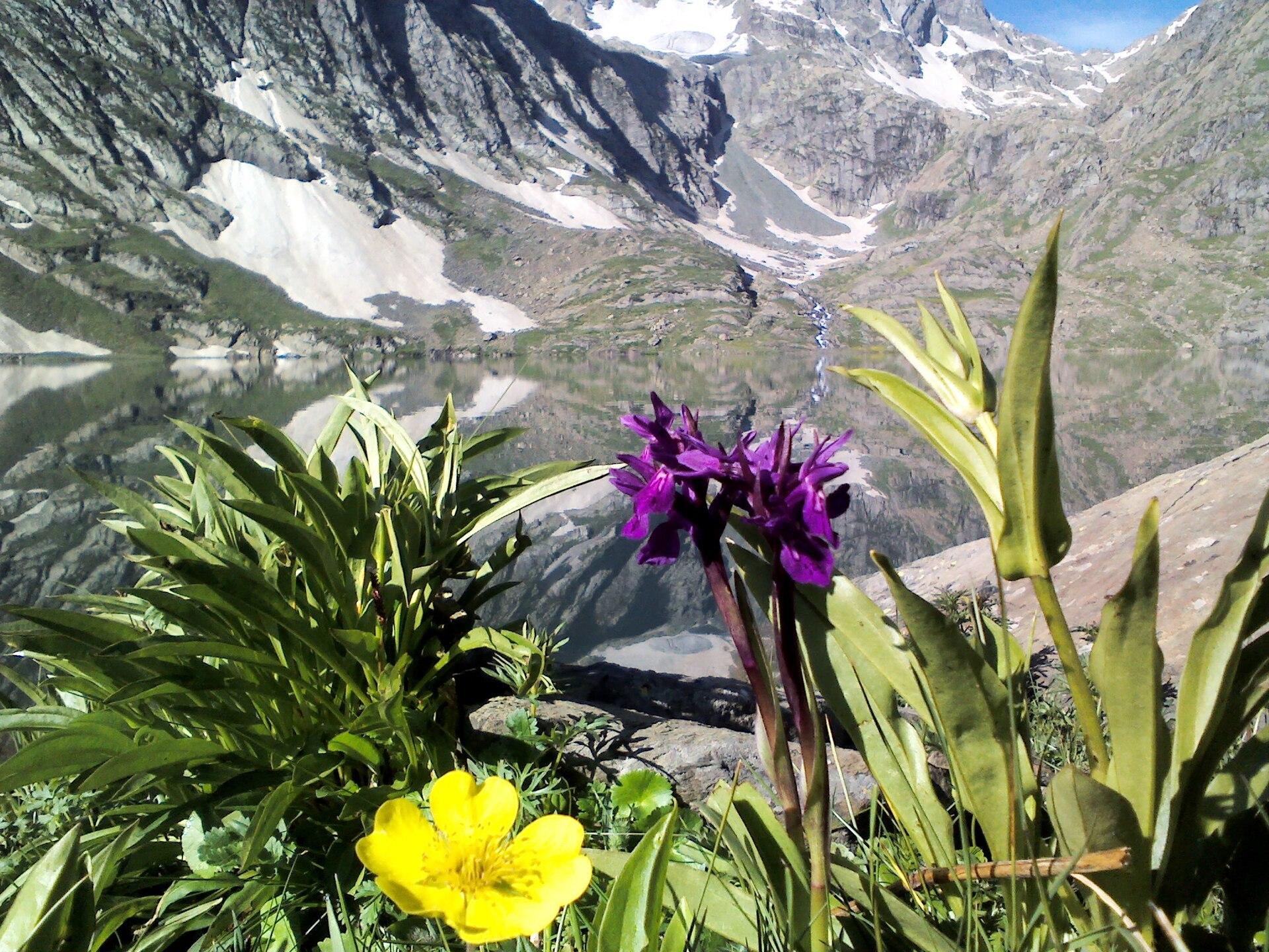 Kashmir Great Lakes scenery 5
