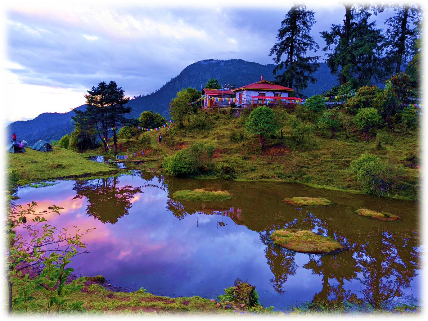 Goecha La Trek Highlights: A Journey Through the Heart of Kanchenjunga National Park. — image 6
