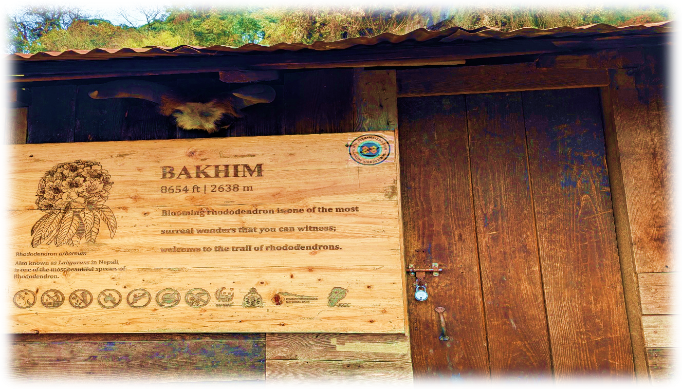 Goecha La Trek Highlights: A Journey Through the Heart of Kanchenjunga National Park. — image 5