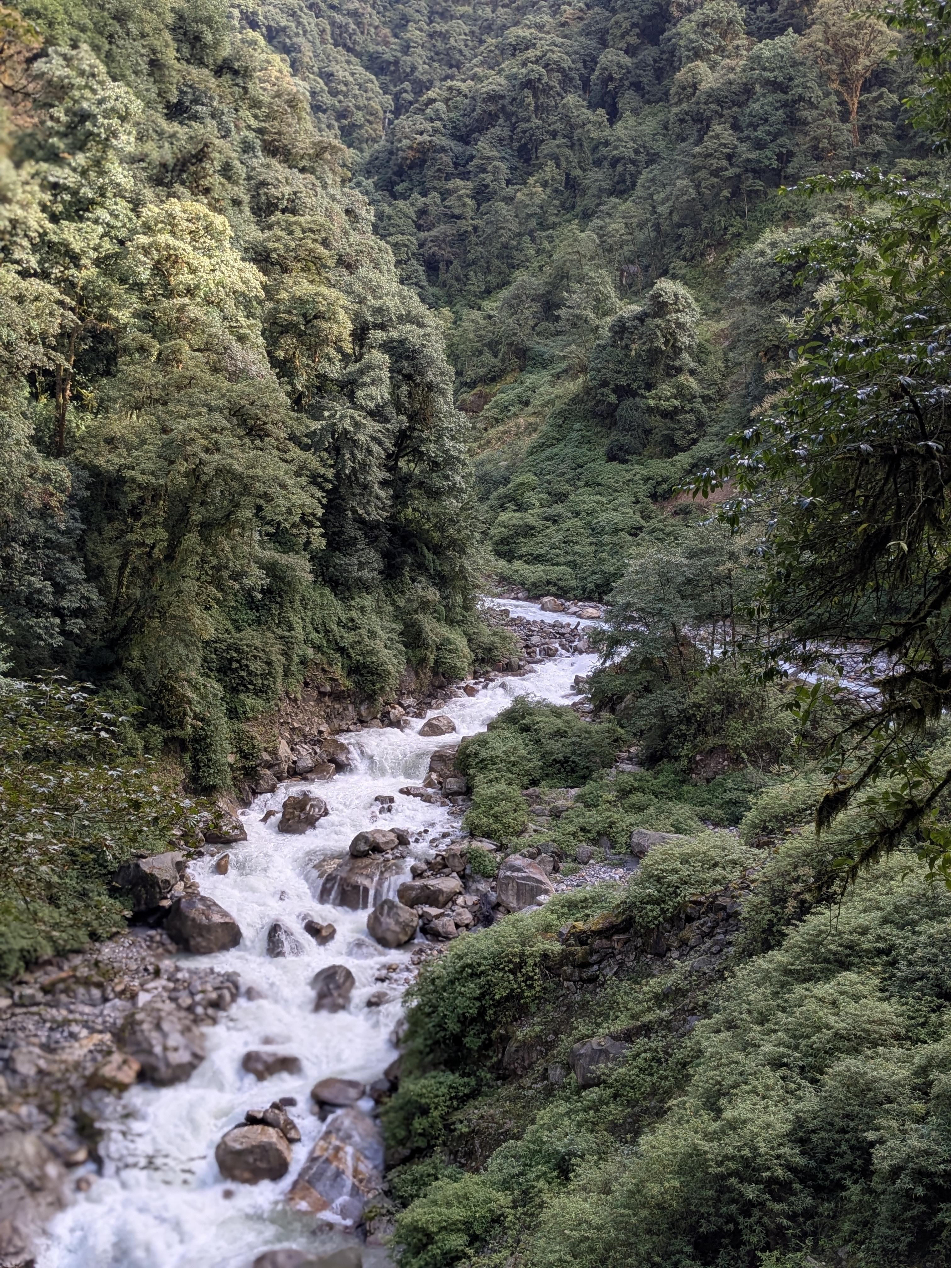 Goecha La Trek Highlights: A Journey Through the Heart of Kanchenjunga National Park. — image 3