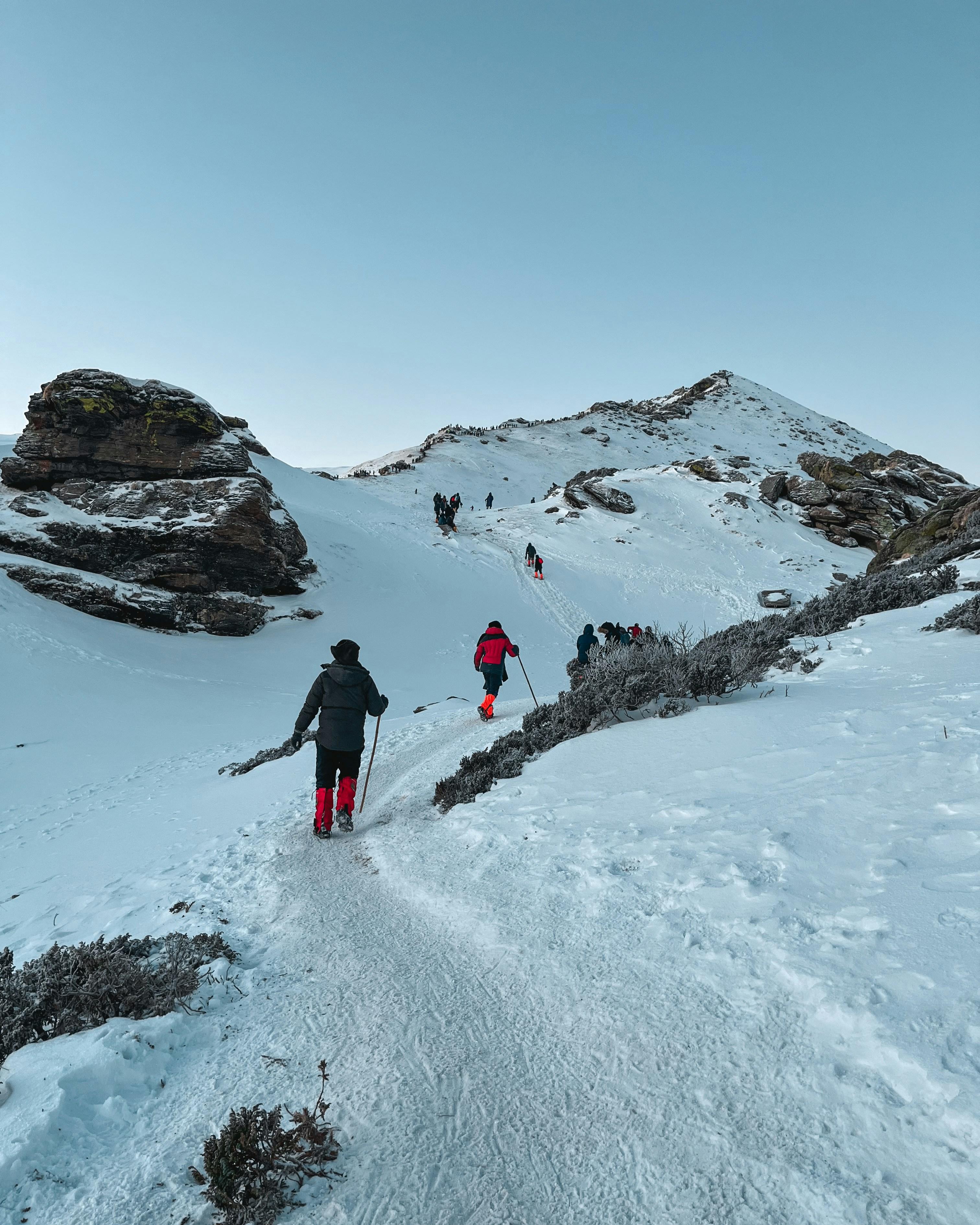 A Dramatic Peak vs. Endless Snow Meadows — image 3