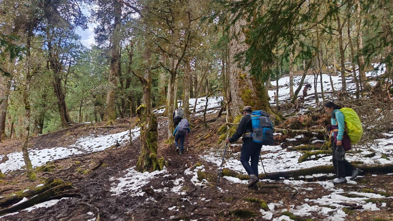 Pangarchulla Peak Trek: A Complete Guide to One of Uttarakhand’s Most Thrilling Summit Treks — image 3