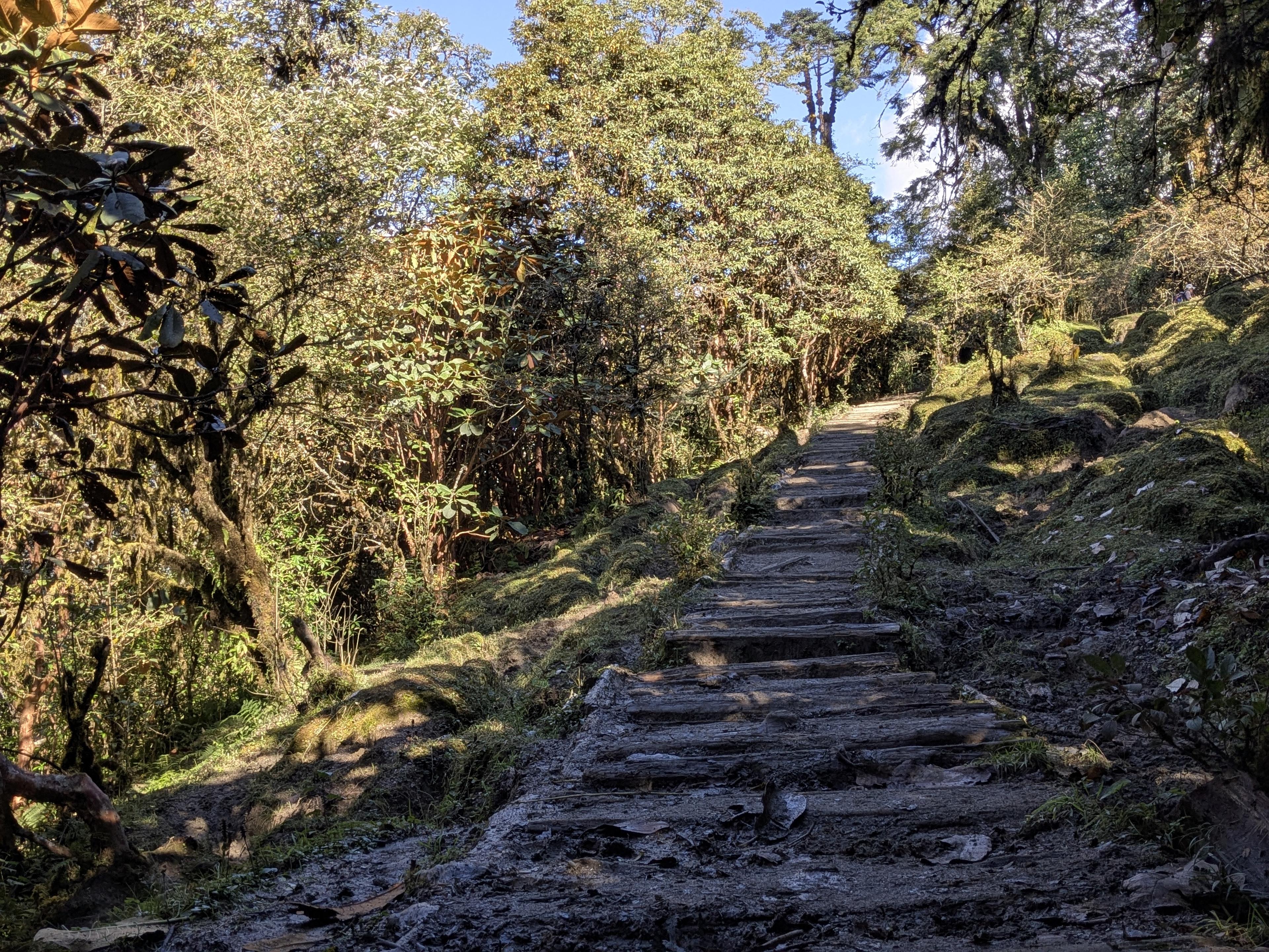 Goecha La Trek Highlights: A Journey Through the Heart of Kanchenjunga National Park. — image 9