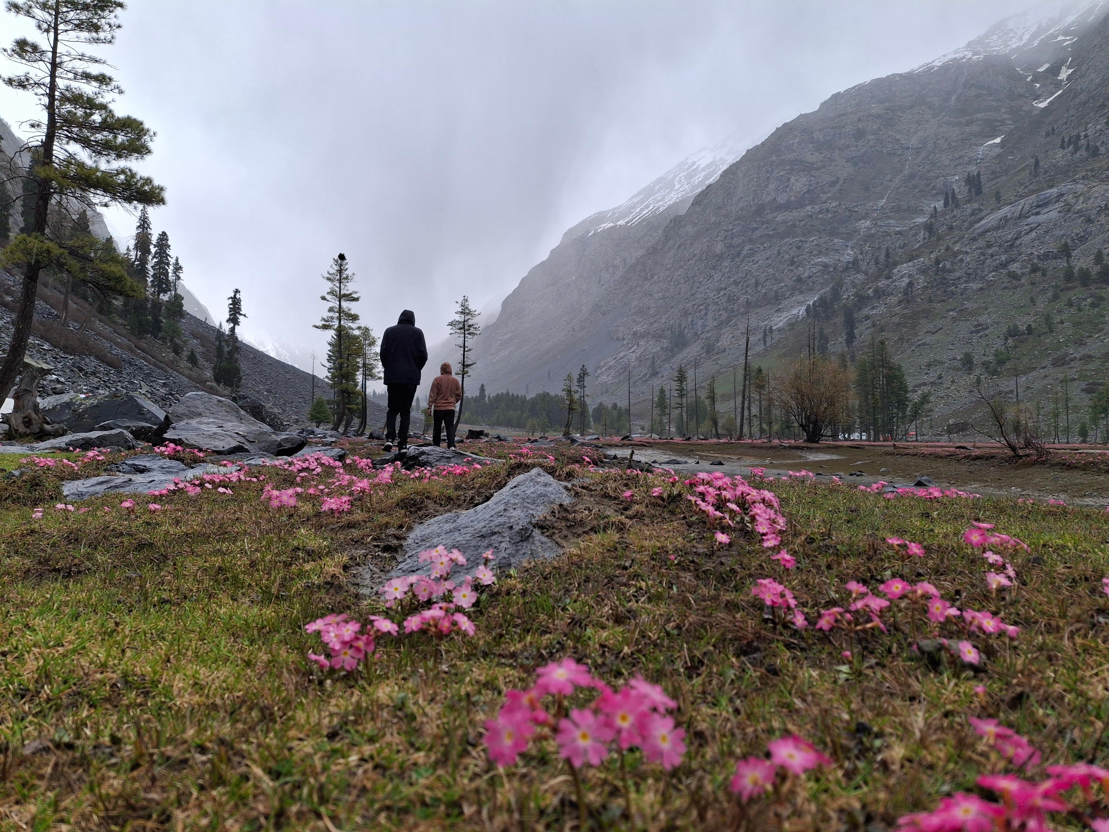 A Dramatic Peak vs. Endless Snow Meadows — image 5
