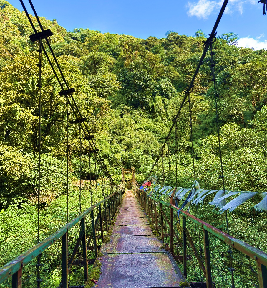 Goecha La Trek Highlights: A Journey Through the Heart of Kanchenjunga National Park. — image 2
