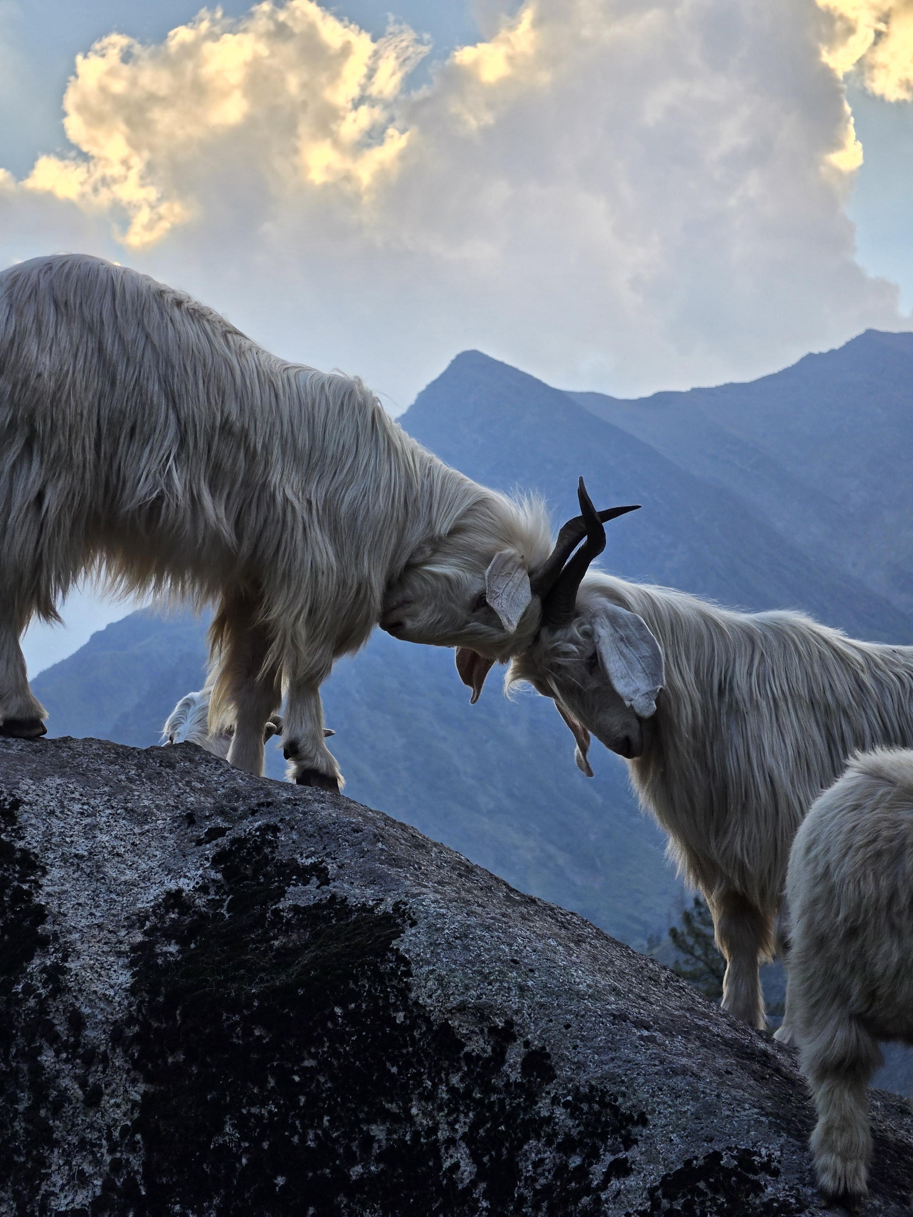 Annapurna Base Camp scenery 9