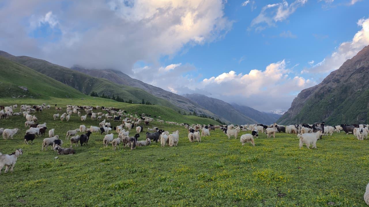 Bara Bhangal scenery 5