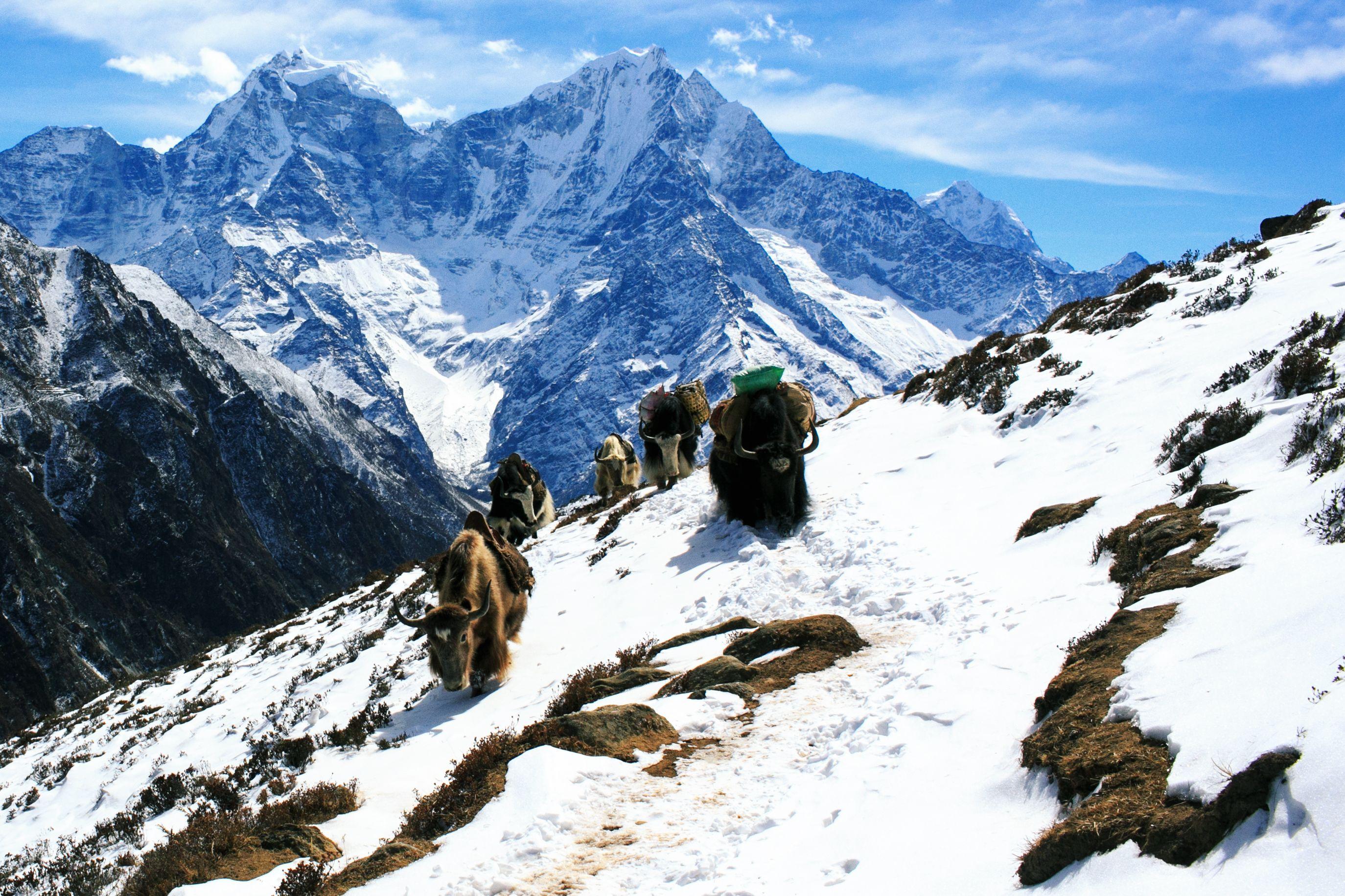 Bara Bhangal scenery 3