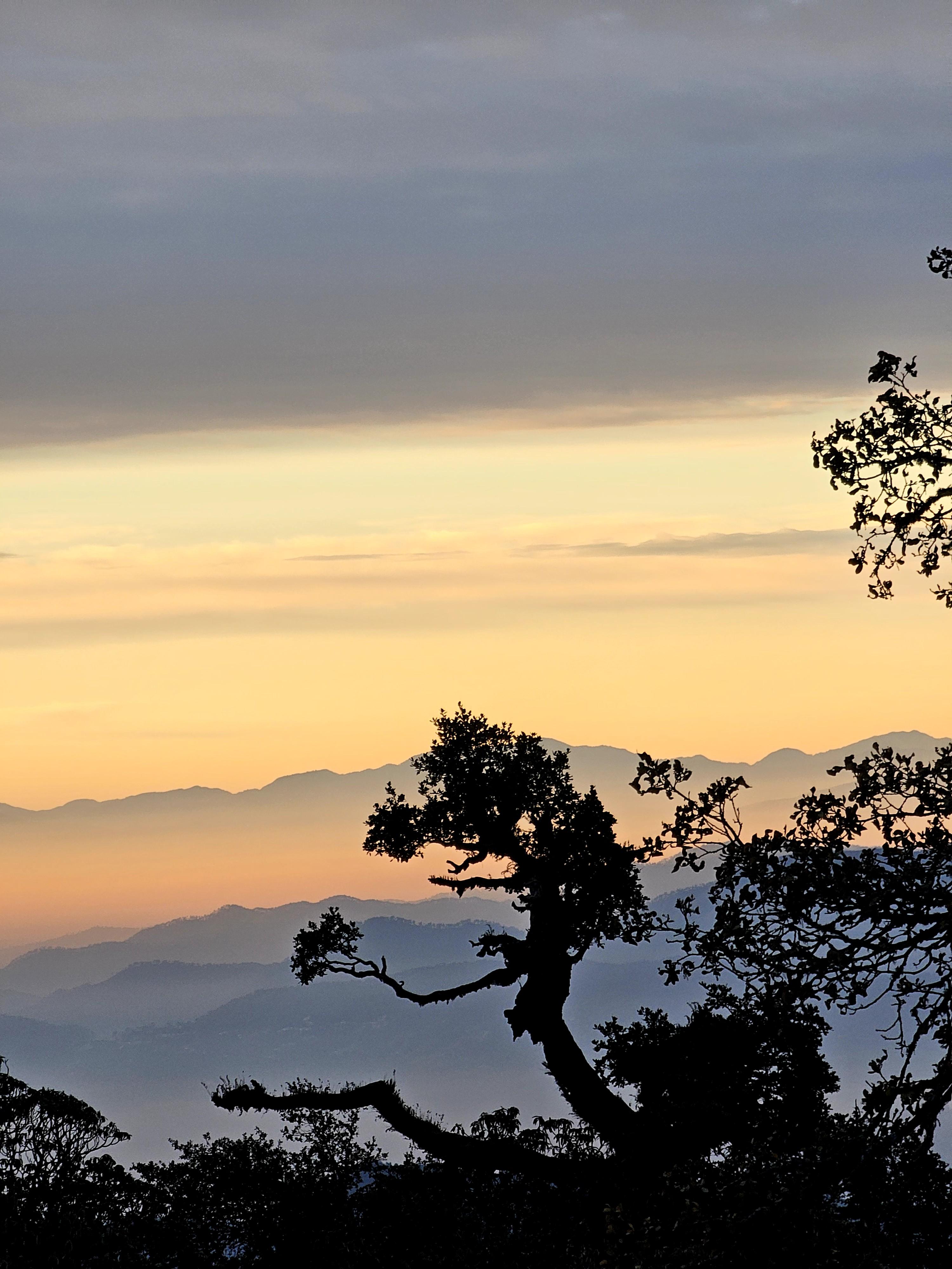 Brahmatal scenery 7