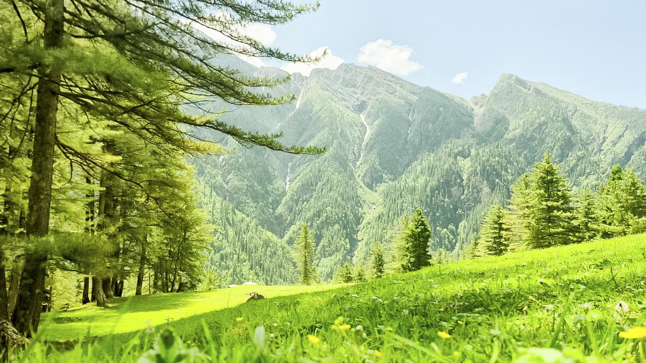 Buran Ghati trek