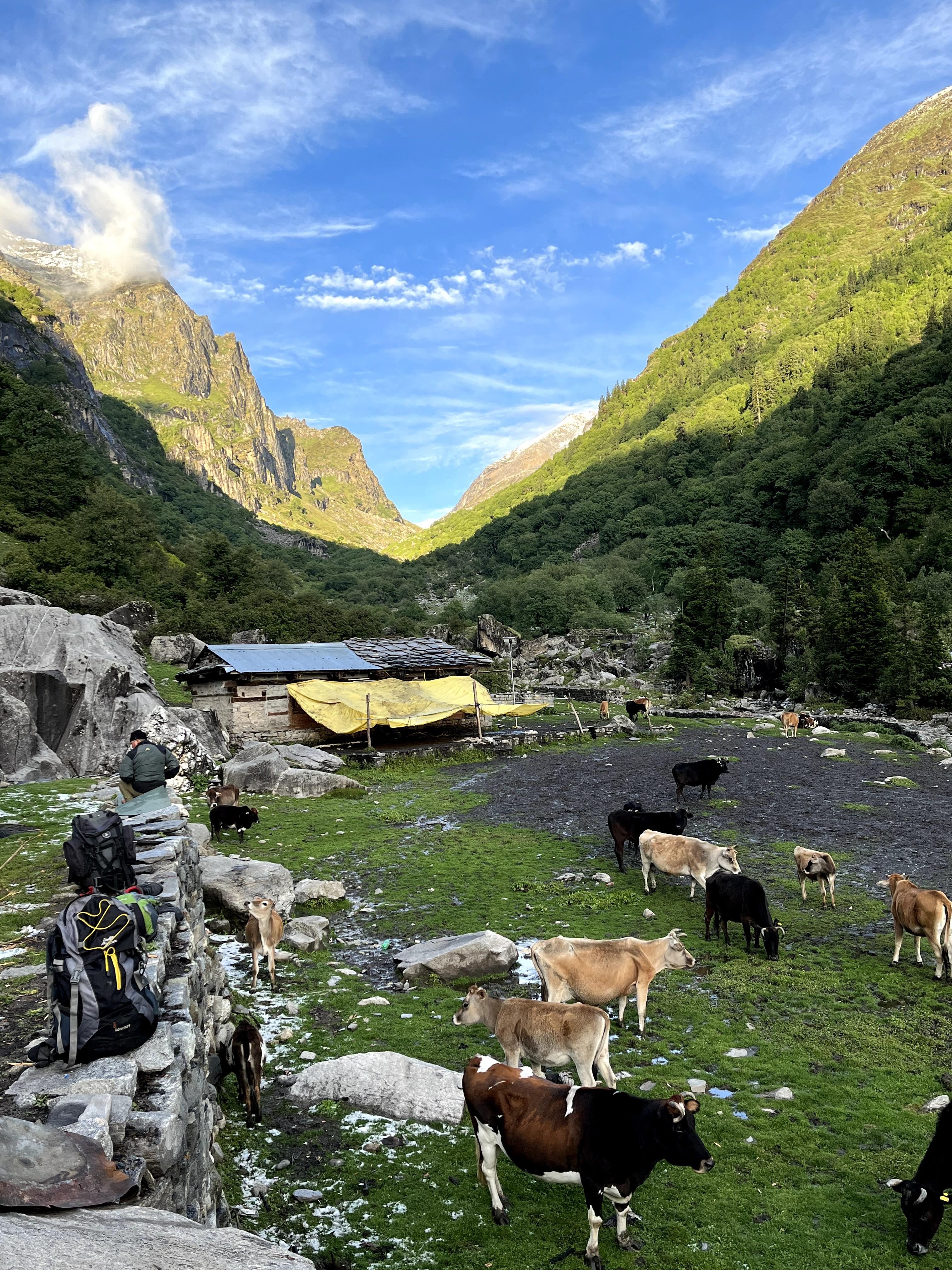 Deo Tibba Base Camp scenery 2