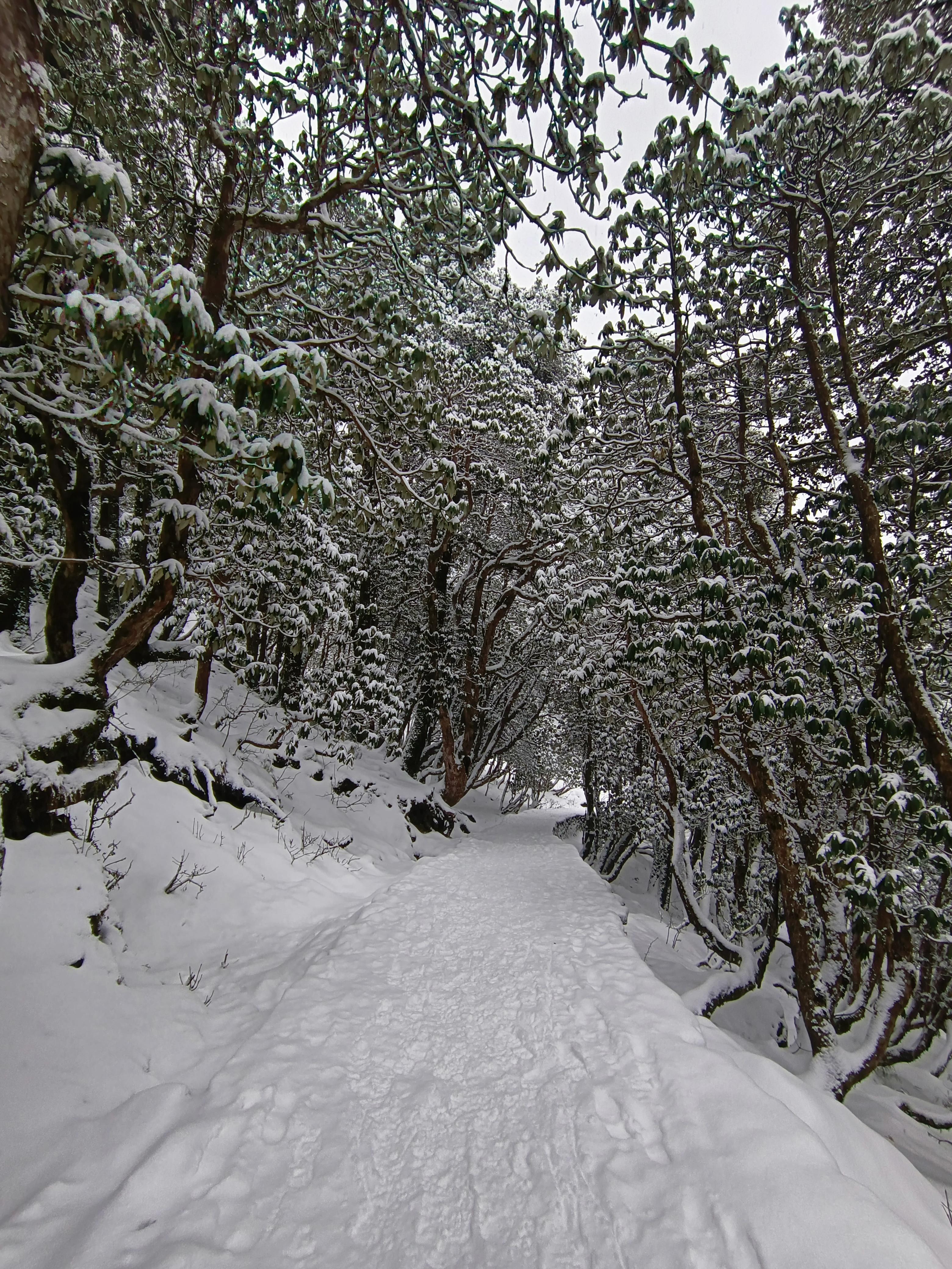 Deoriatal – Chandrashila scenery 6