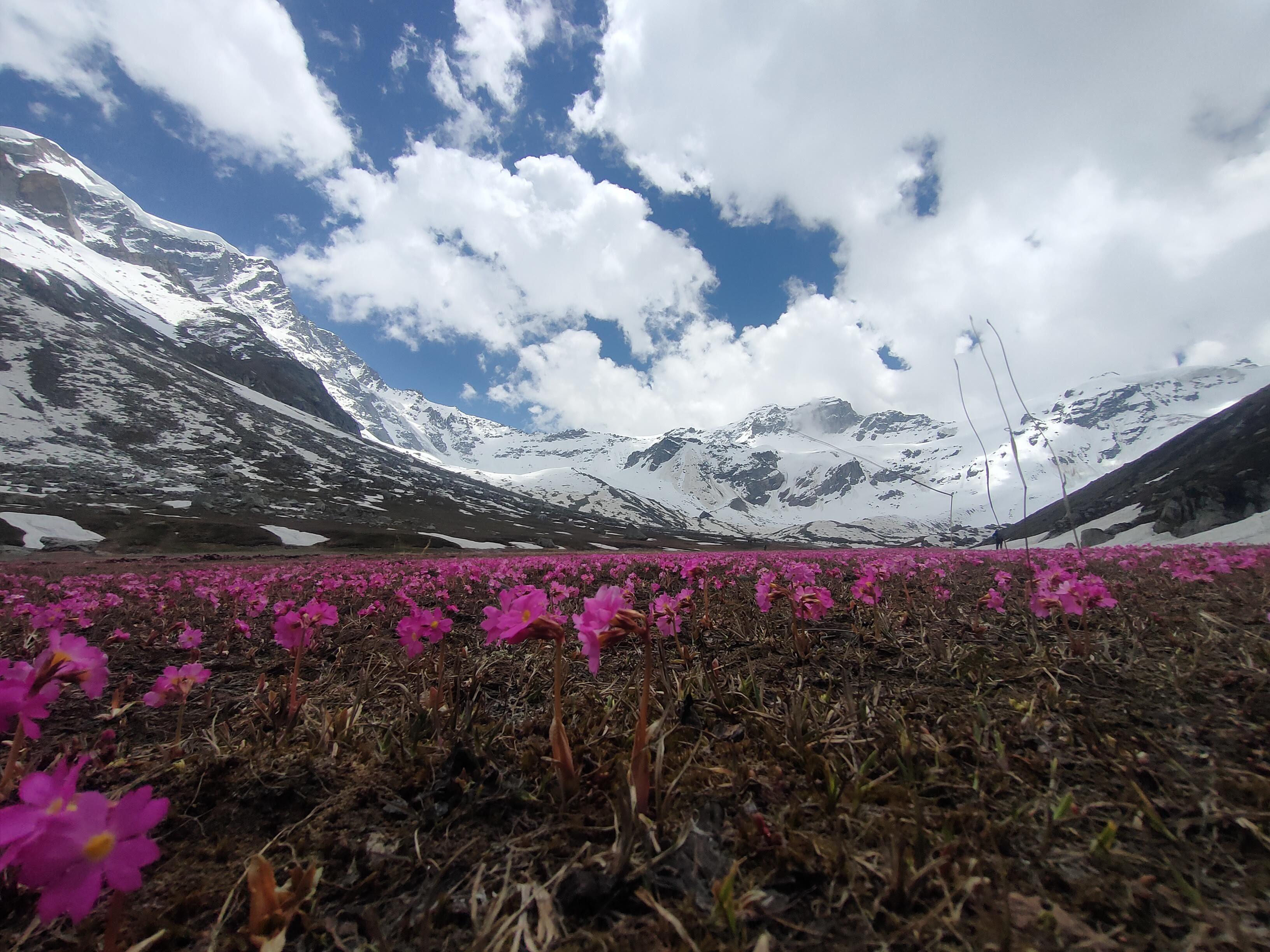 Jagatsukh Peak scenery 9