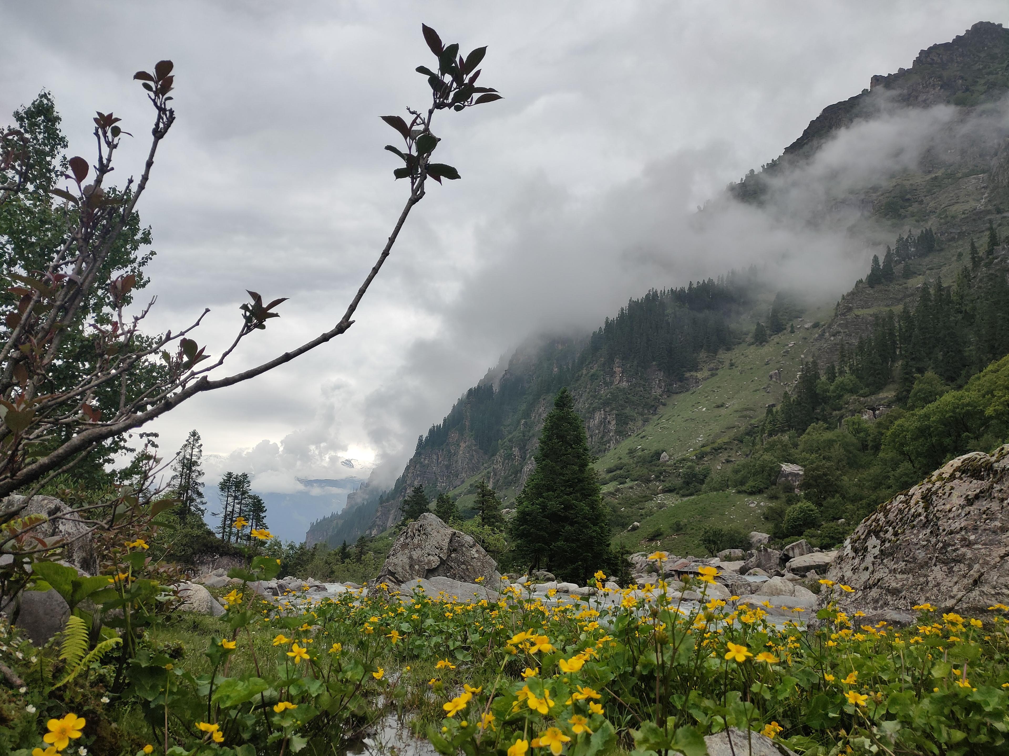 Jagatsukh Peak scenery 5