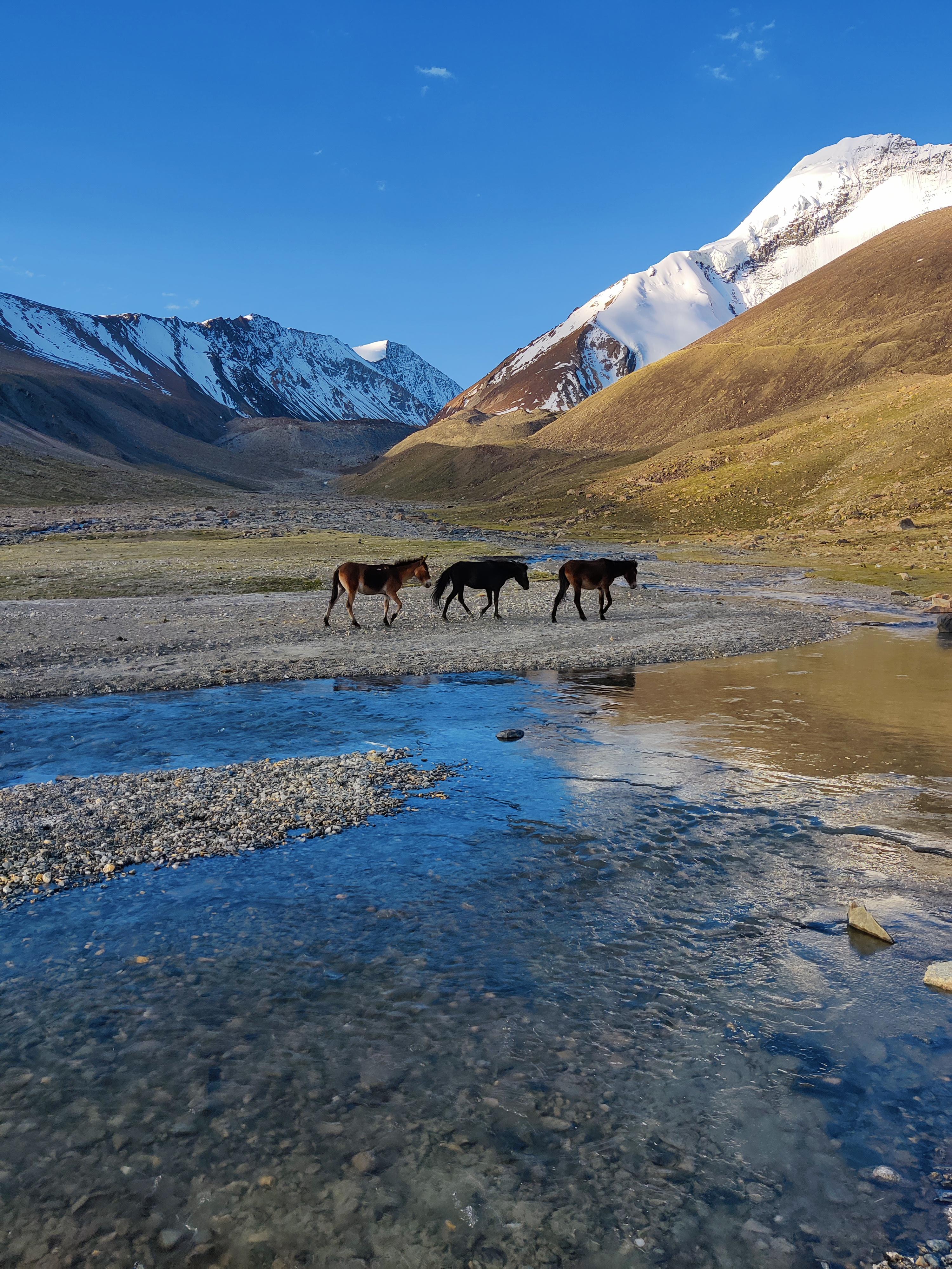 Markha Valley scenery 11