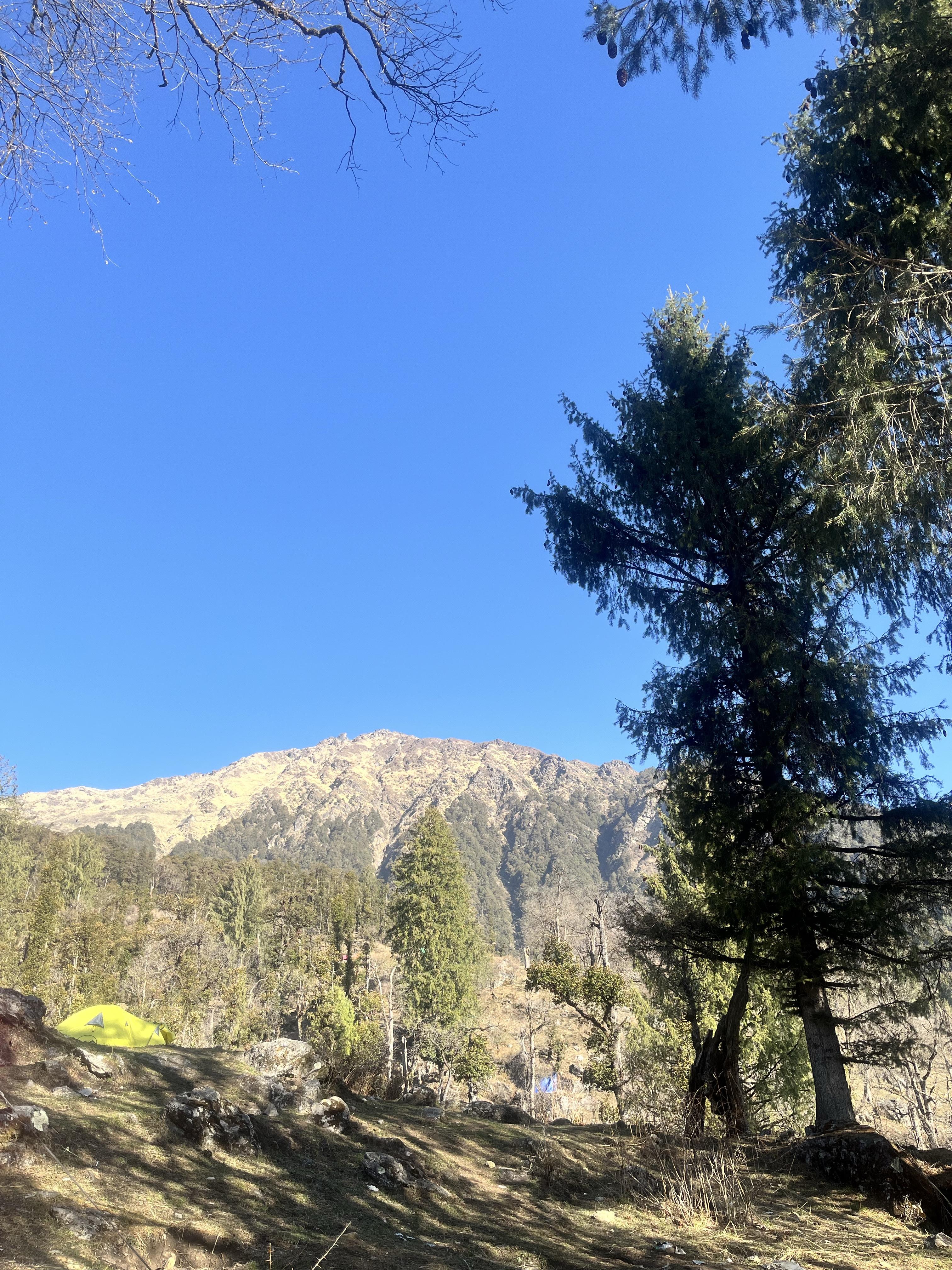 Pangarchulla Peak scenery 7