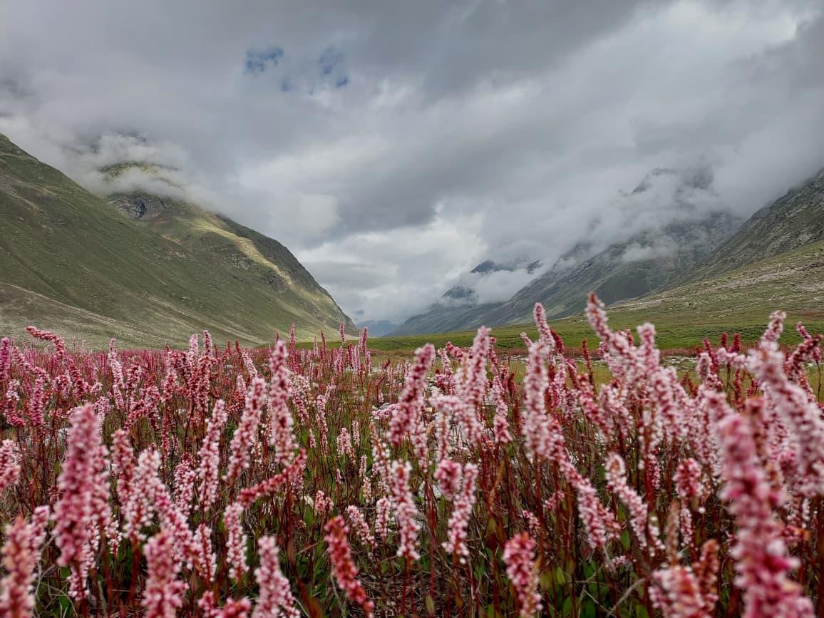 Pin Bhaba Pass — Green Kinnaur to desert Spiti in two days