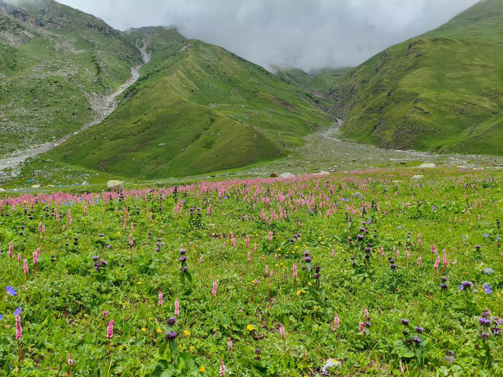Pin Bhaba Pass scenery 4