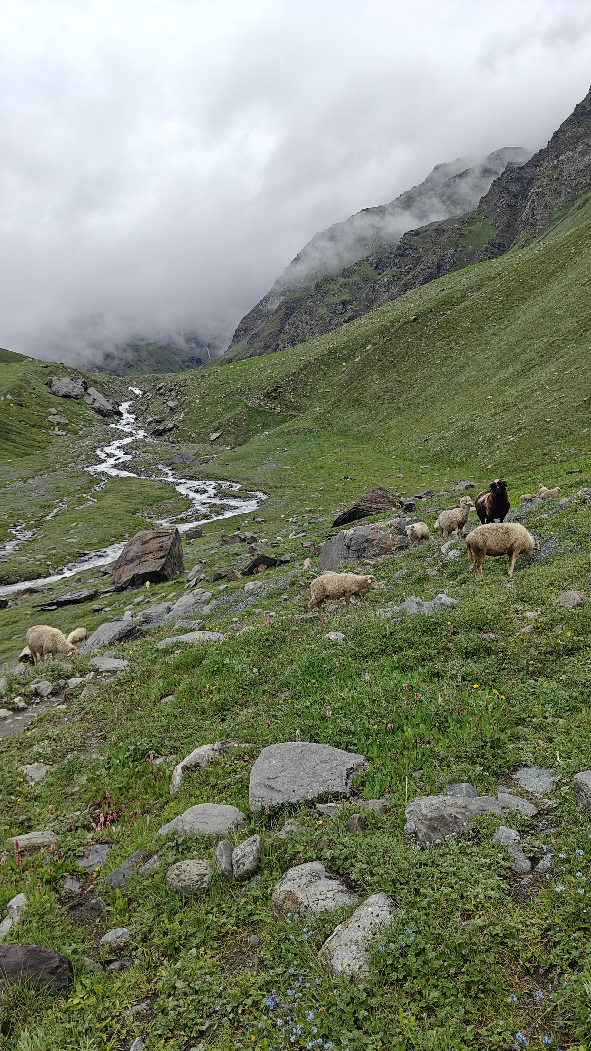 Pin Bhaba Pass scenery 7