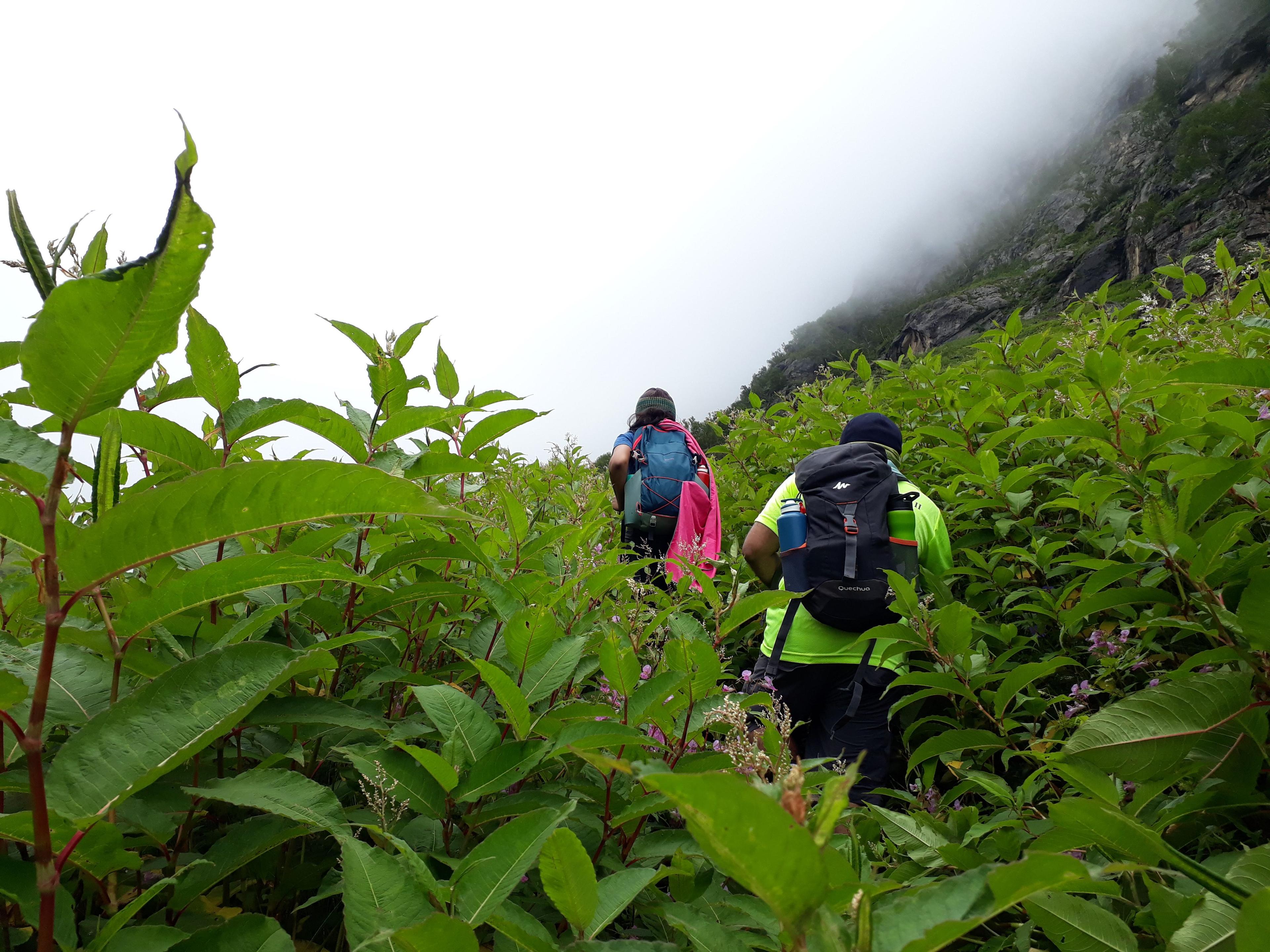 Pin Parvati Pass scenery 13