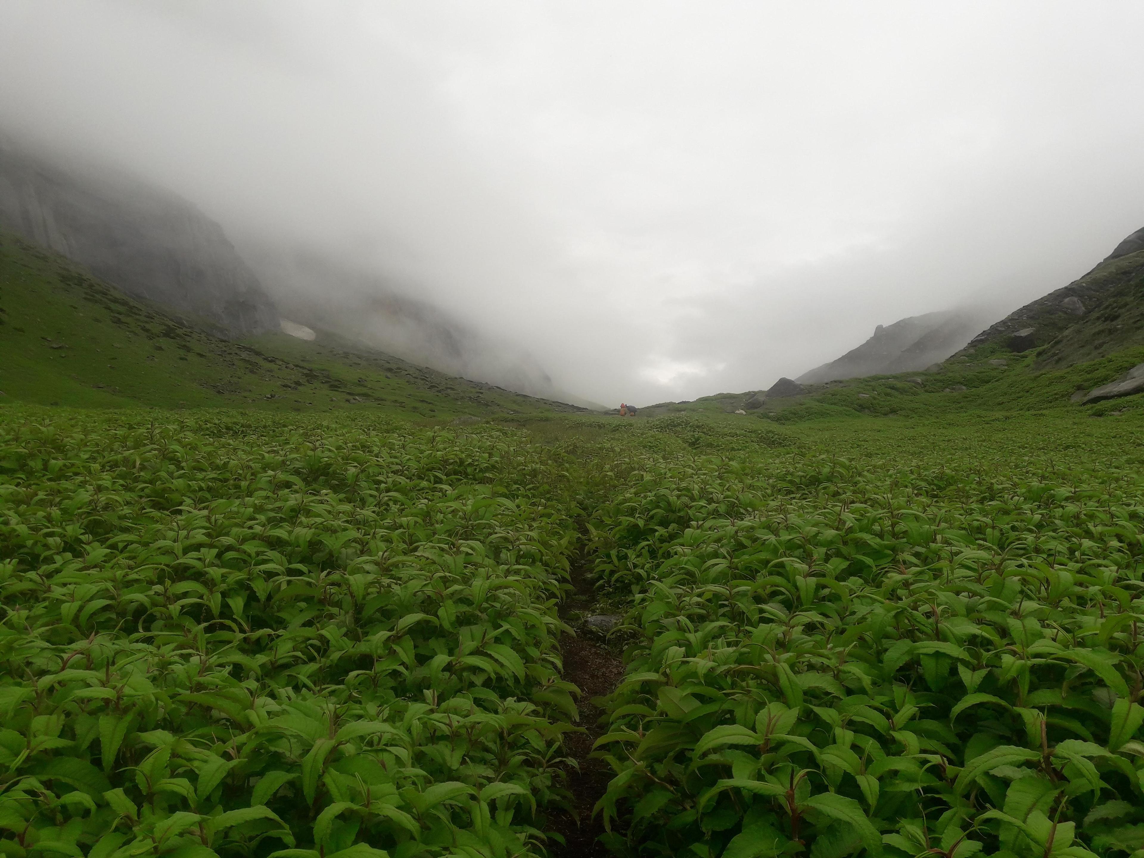Pin Parvati Pass scenery 4