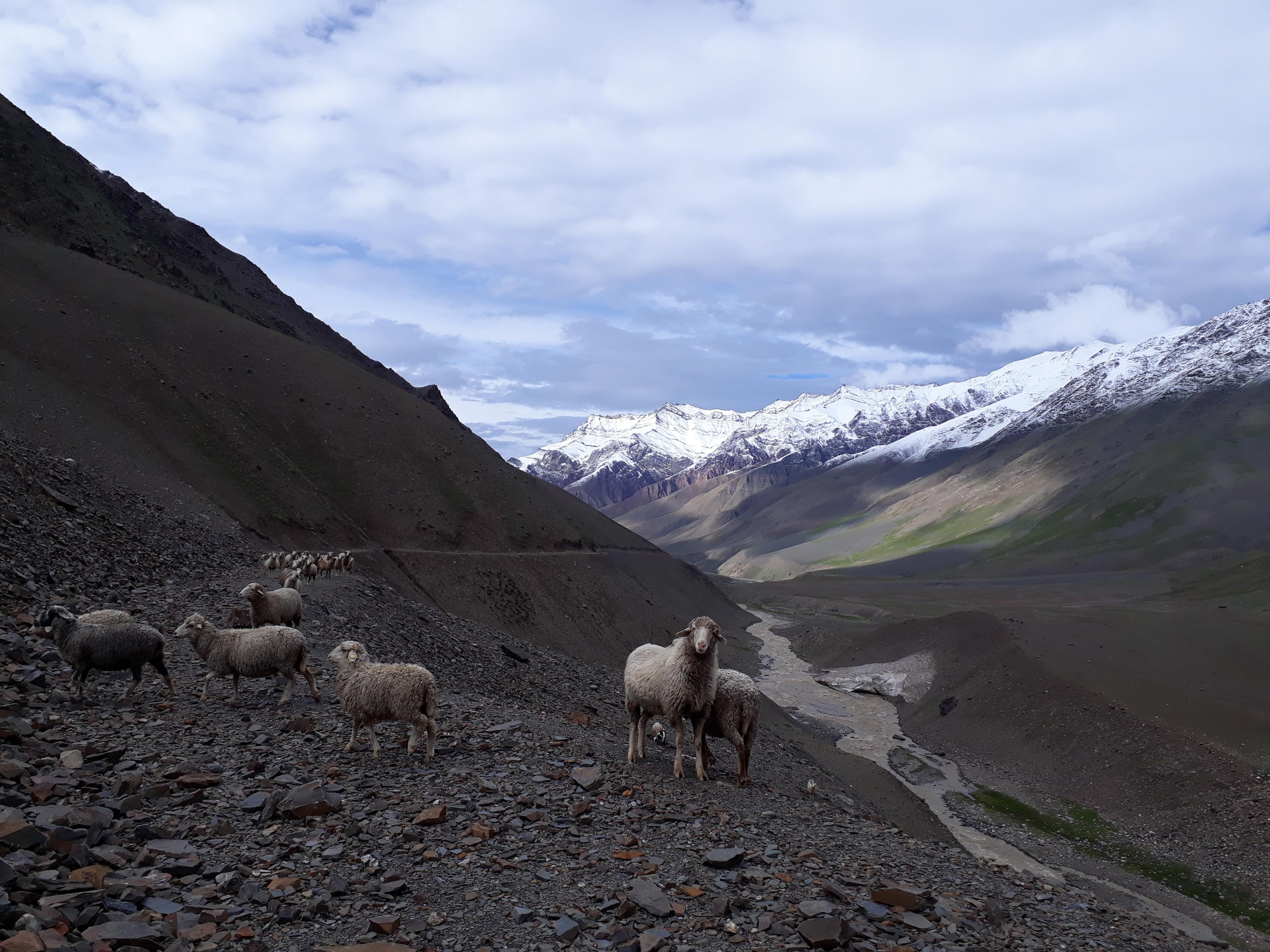 Pin Parvati Pass scenery 23
