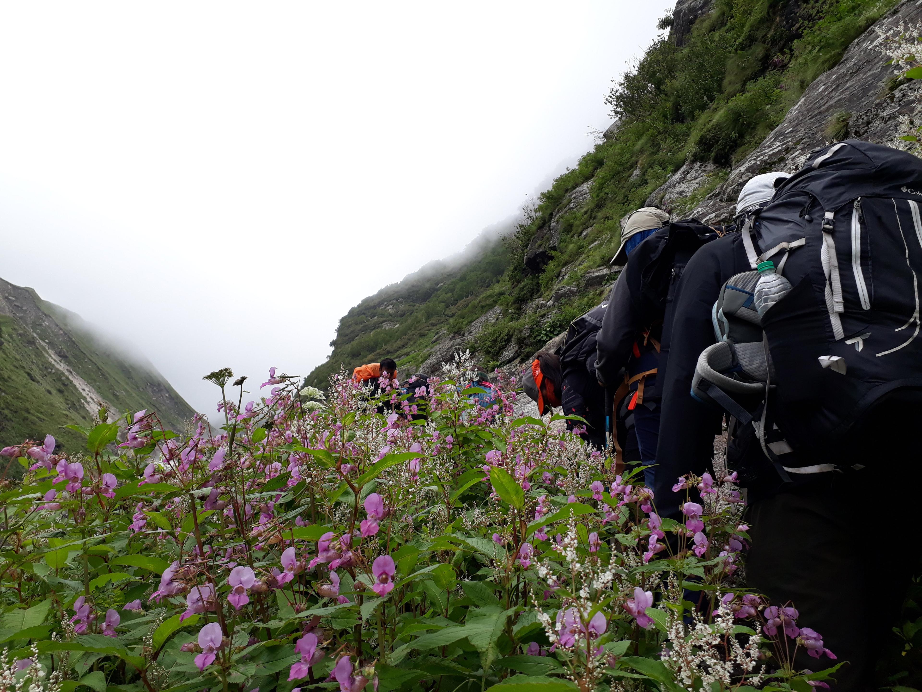 Pin Parvati Pass scenery 12