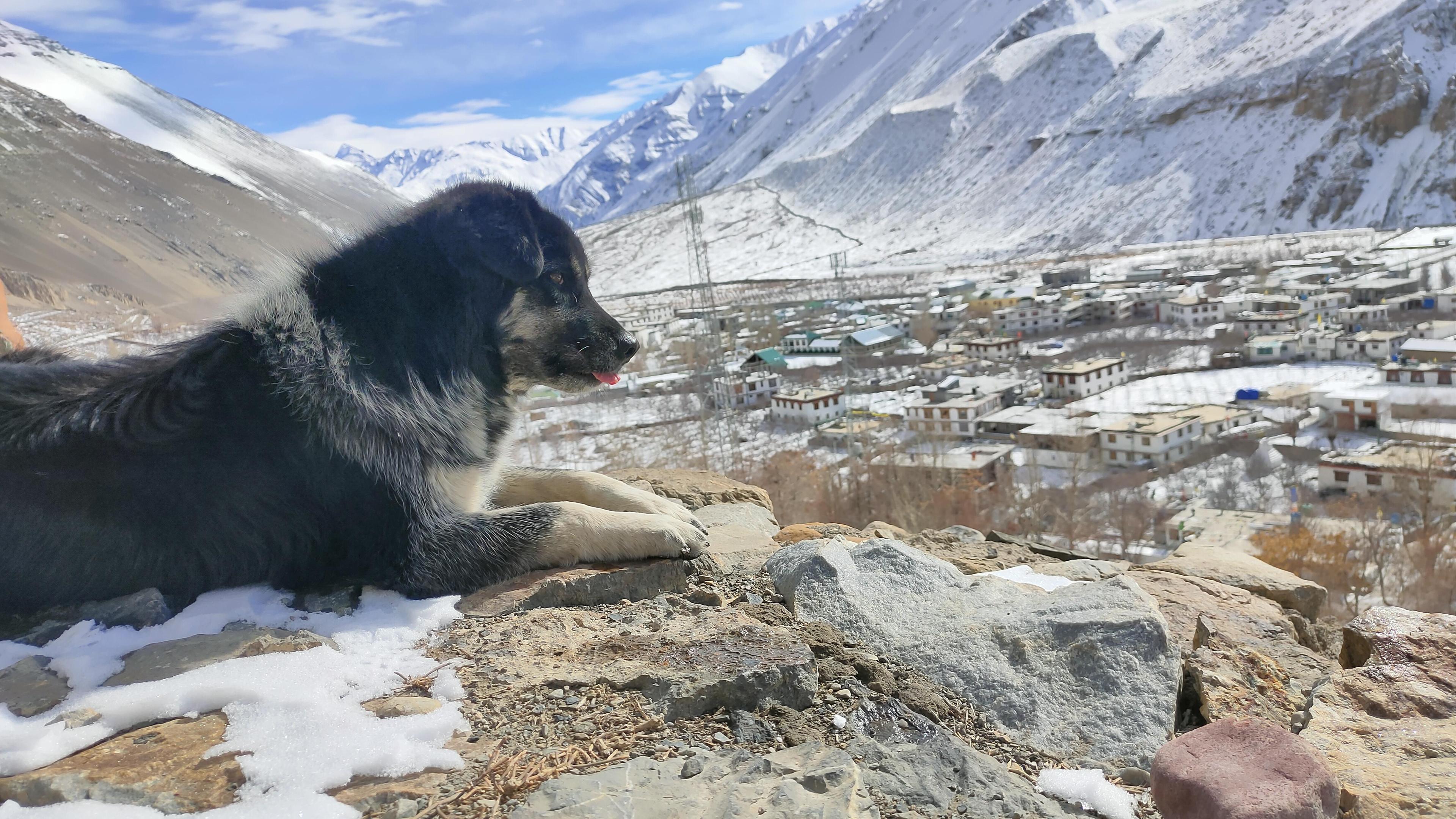 Spiti Winter Homestay Trip scenery 20